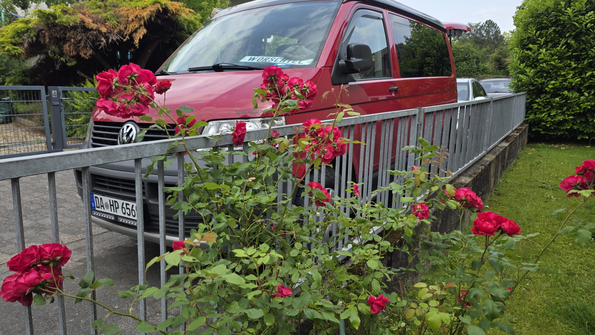 WhatsApp Image 2025-06-09 at 14.36.16.jpeg